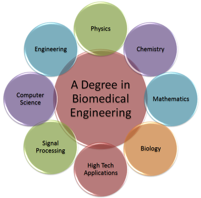 common work contexts for biomedical engineers